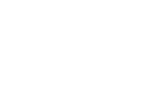 ALPHAMIX Logo - White